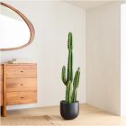 Faux Potted Cactus Plant