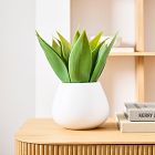 Faux Potted Agave Plant