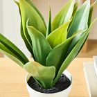 Faux Potted Agave Plant