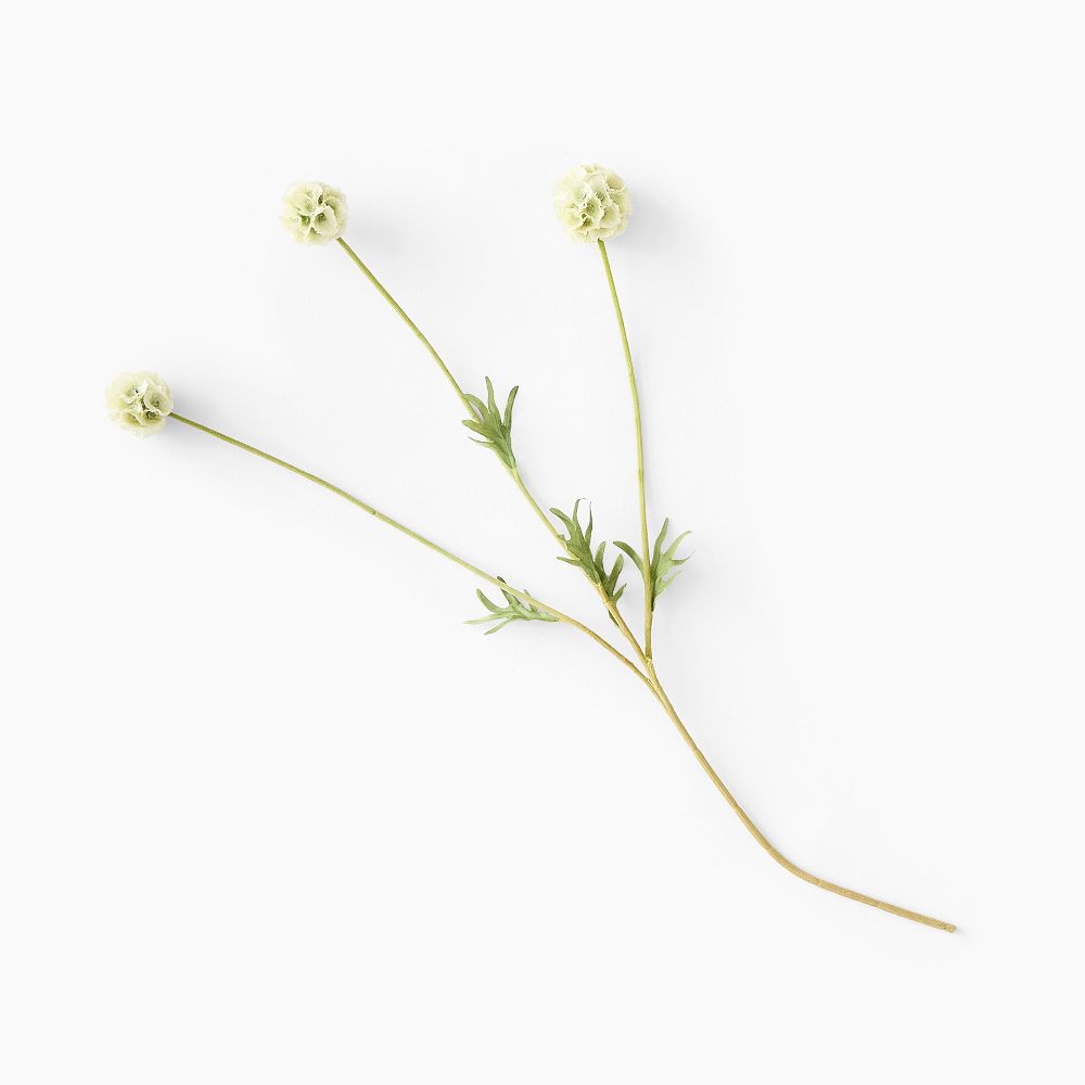 Faux Scabiosa Stem