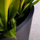 Veradek Curve Grooved Indoor/Outdoor Planter