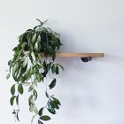 Monroe Trades Distressed Wood Shelf