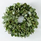 Silver Dollar Eucalyptus &amp; Olive Wreath