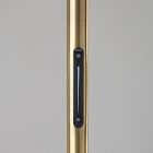 Apolline Arc Floor Smart Lamp (71.5")