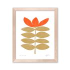 Proud Tulip Print by Cocoshalom