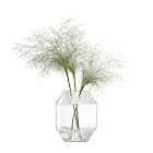 Rotunda Glass Vase