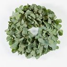 Silver Dollar Eucalyptus Wreath