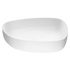VIGO Peony Modern Vessel Sink