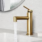 VIGO Sterling Single Hole Faucet