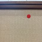 Open Box: Douglas Solid Wood Tatami Armoire