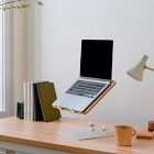 Branch Adjustable Laptop Stand