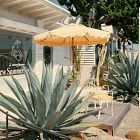 Business &amp; Pleasure Co. Market Umbrella