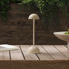 Tobi Indoor/Outdoor Table Lamp