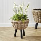 Woven Dry Basket Planters
