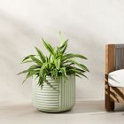 Cecilia Ficonstone Indoor/Outdoor Planters