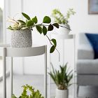 Yamazaki Two-Tier Rolling Plant Stand