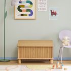Elora Toy Chest
