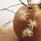 Faux Green Thistle Stem