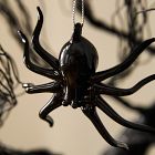 Glass Spider Ornament