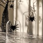 Glass Spider Vases