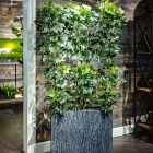 Faux Potted Eva Schefflera Tree w/ Planter