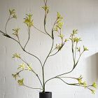 Faux Kangaroo Paw Branch