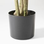 Faux Minimalist Citrus Potted Plant
