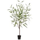 Faux Potted Eucalyptus Tree