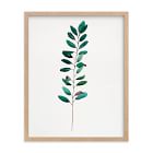 Ruscus, Curry Tree &amp; Magnolia Framed Wall Art by Minted for West Elm