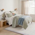 Curves Scalloped Rug