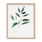 Ruscus, Curry Tree &amp; Magnolia Framed Wall Art by Minted for West Elm