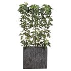 Faux Potted Eva Schefflera Tree w/ Planter