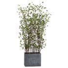 Faux Potted Mini Leaf Plant w/ Planter