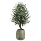 Faux Potted Olive Tree w/ Planter