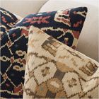Printed Ikat Pillow Cover