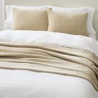 Washed Cotton Velvet Shams