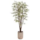 Faux Potted Mini Japan Maple Tree w/ Planter