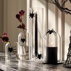 Glass Spider Candleholders