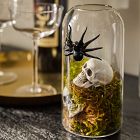 Glass Spider Vases
