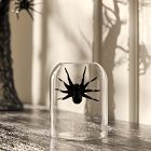 Glass Spider Vases