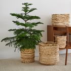 Sohla Banana Leaf Baskets