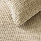 Washed Cotton Velvet Shams