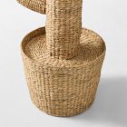 Woven Cactus