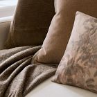 Deco Velvet Pillow Cover &amp; Throw Set