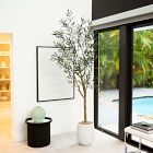 Faux Potted Greco Olive Tree