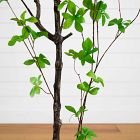 Faux Potted Minimalist Enkianthus Tree