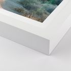 Joshua Tree Framed Print by Morgan Ashley