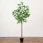 Faux Potted Greco Citrus Tree