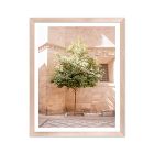 Andalusia Framed Print by Morgan Ashley