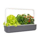 The Smart Garden LED Grow Set